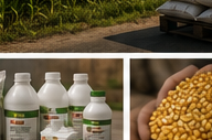 Agricultural commodity grading